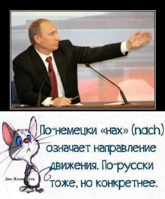 Политическая рубрика от&nbsp;NAZARETH за&nbsp;31.01.26. Новости, события, комментарии - 1998