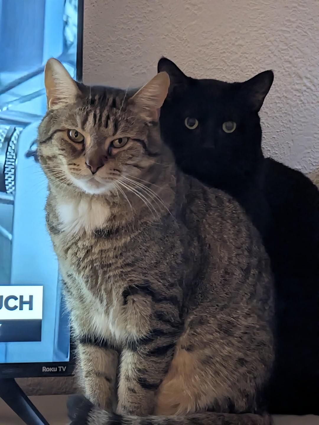 8. Я и моя тень