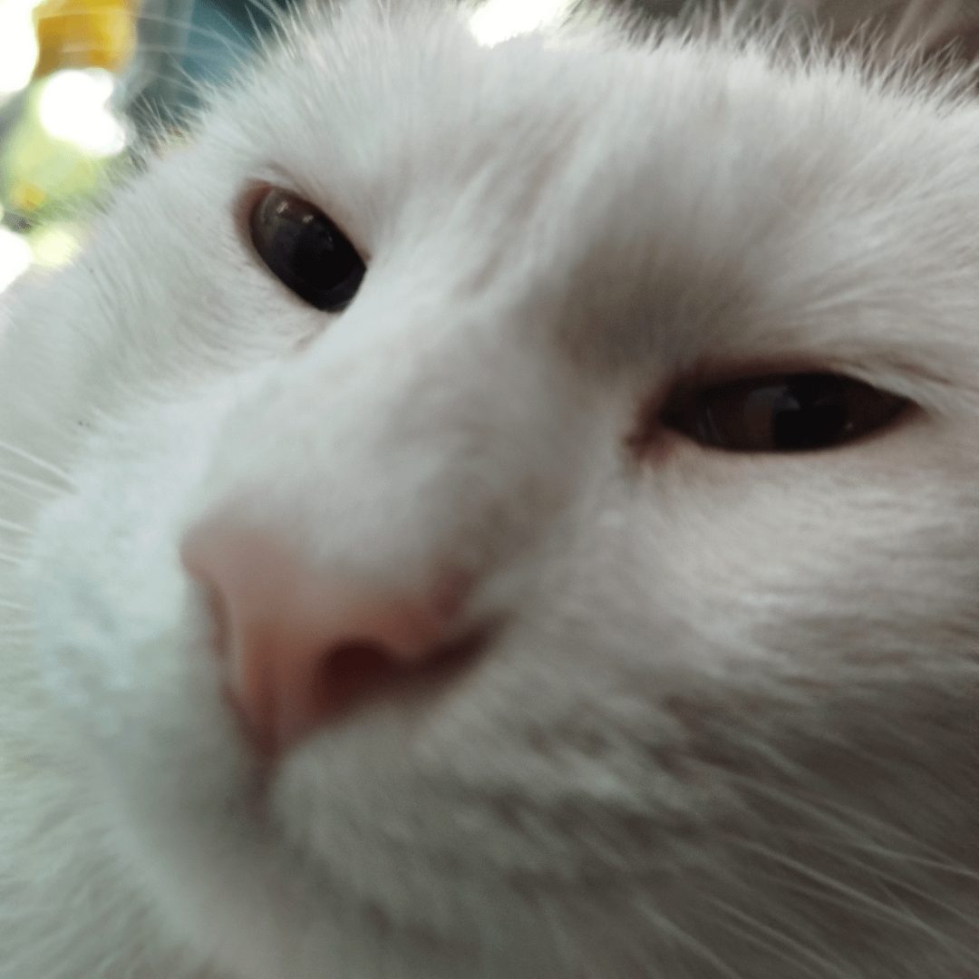 12. Кажется, ты прячешь от меня вкусняшку