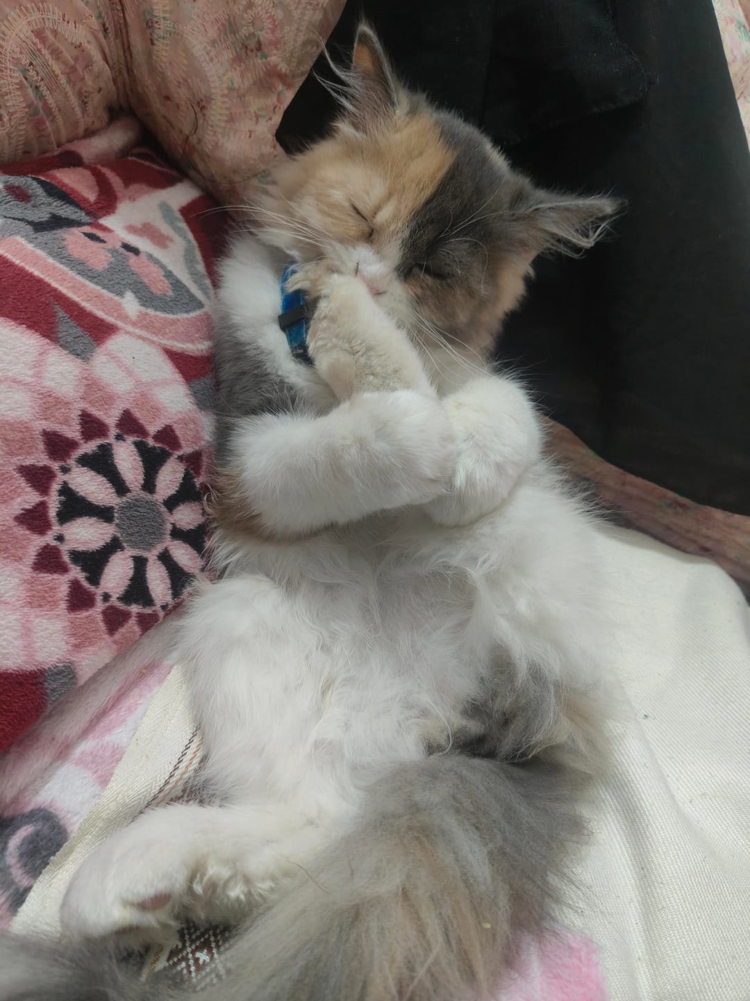 11. Надо, надо умываться по утрам и вечерам