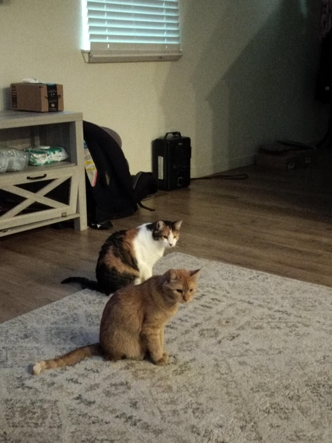 15. В любой непонятной ситуации синхронизируйтесь