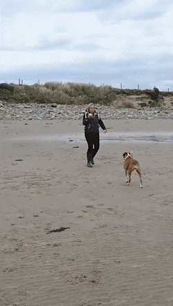 Просто гифки, всякие и&nbsp;разные