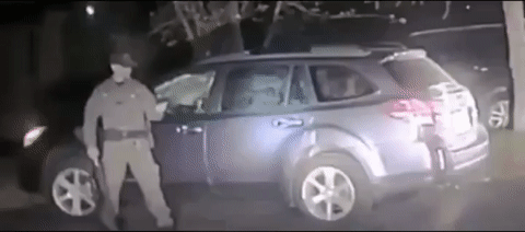 Просто гифки, всякие и&nbsp;разные