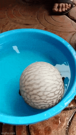 Просто гифки, всякие и&nbsp;разные