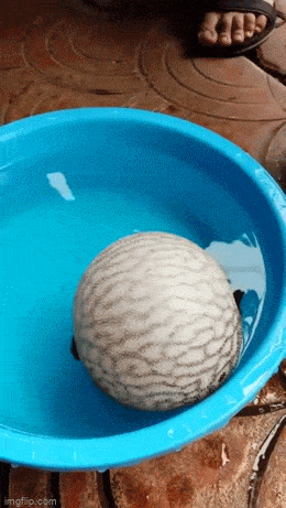 Просто гифки, всякие и&nbsp;разные