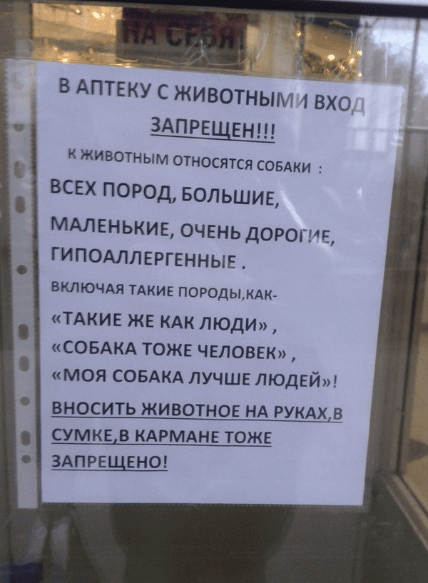 А про кошек ничего не говорили…