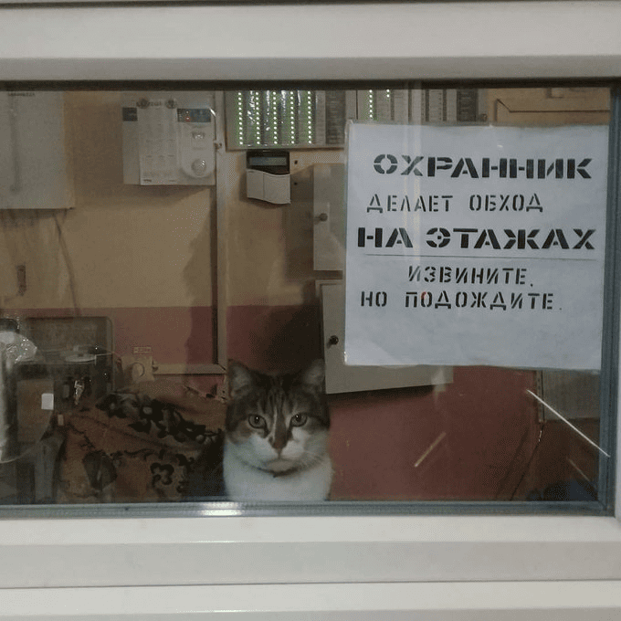 Извините, но подождите