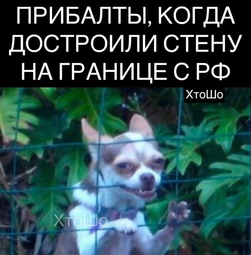 Политическая рубрика от&nbsp;NAZARETH за&nbsp;01.02.26. Новости, события, комментарии - 1999