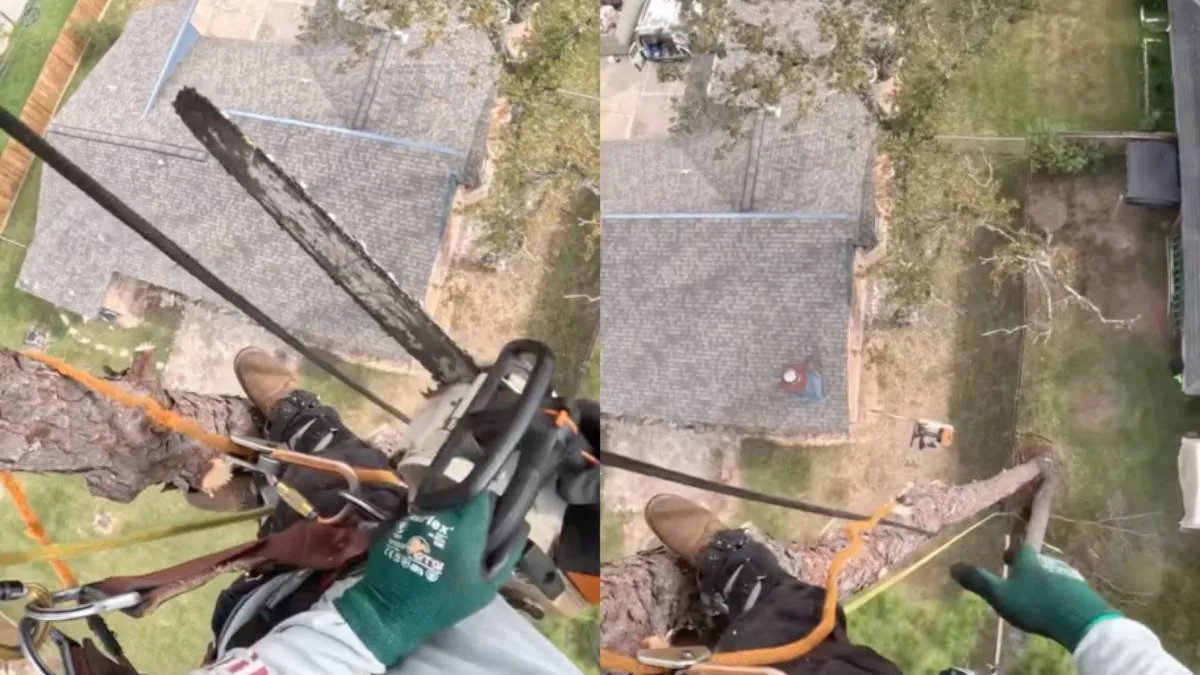 Даже у профессионала случаются неловкие моменты при работе с бензопилой