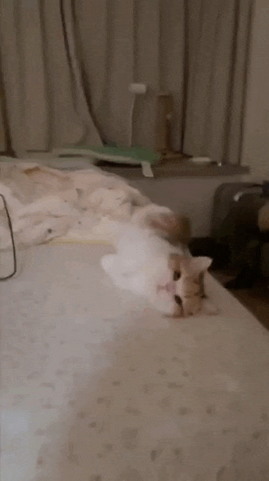 Просто гифки, всякие и&nbsp;разные