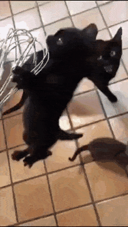 Просто гифки, всякие и&nbsp;разные