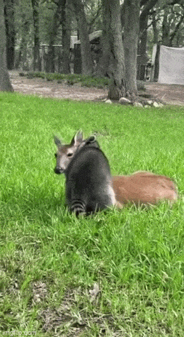 Просто гифки, всякие и&nbsp;разные