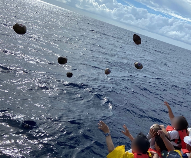 Это вам мое кокосовое послание