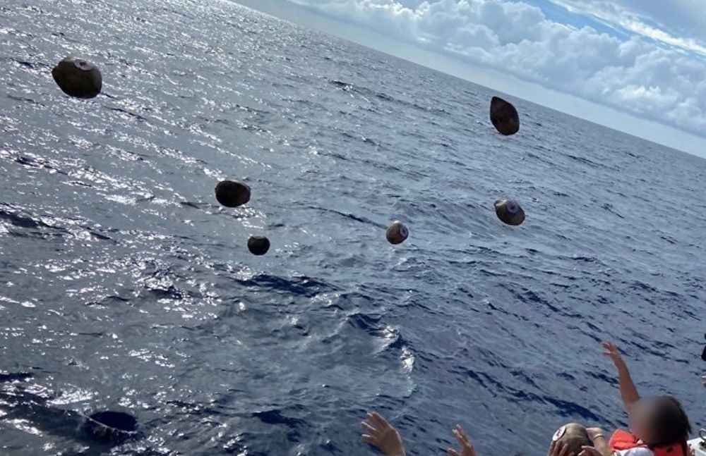 Зачем японцы 40 лет швыряют кокосы в океан