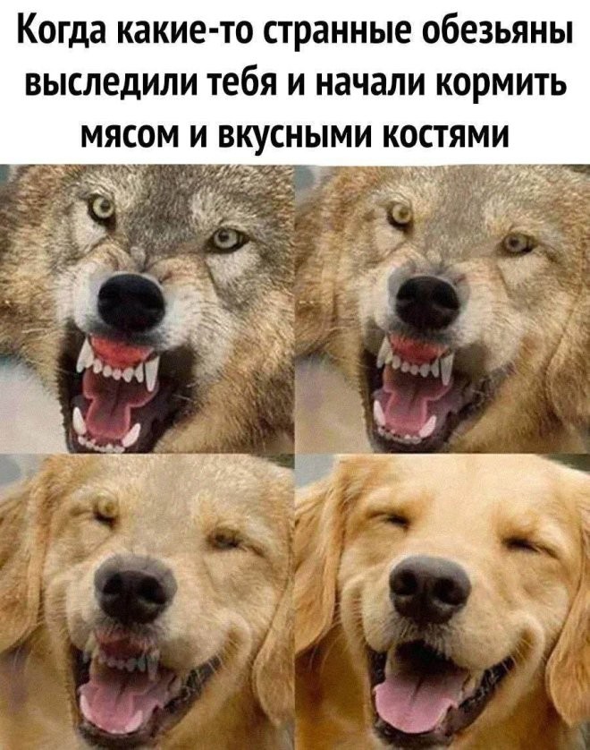 Смешные картинки