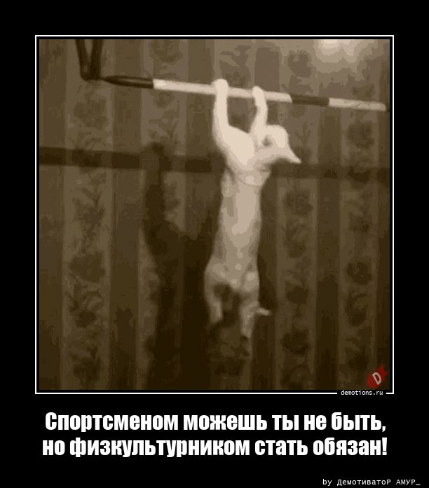 Смешные демотиваторы на злобу дня