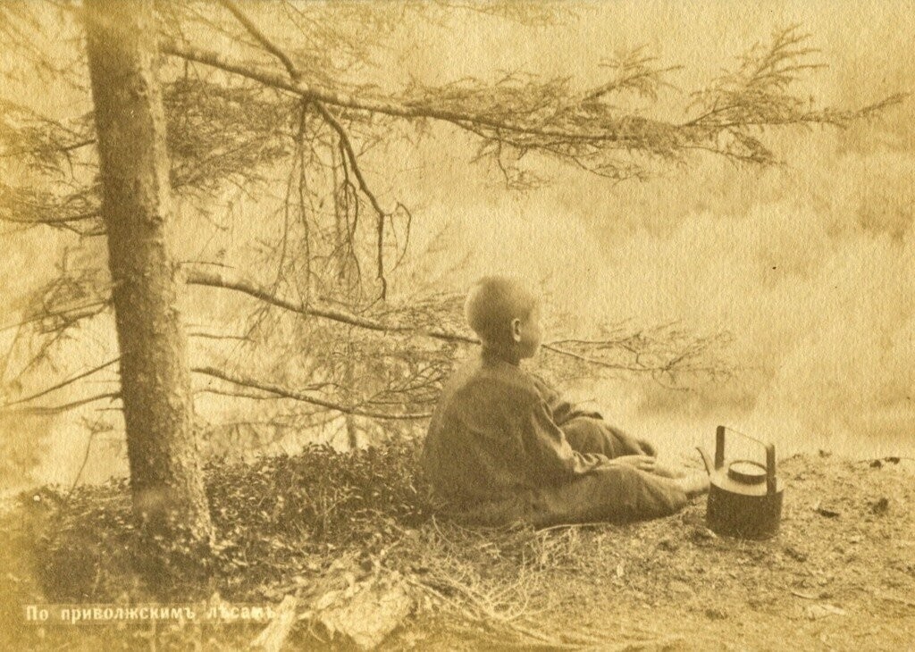 По приволжским лесам