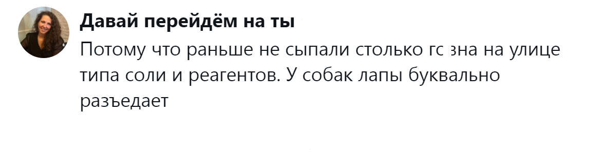 7. Улицы для прогулок опаснее, чем дикие тропы