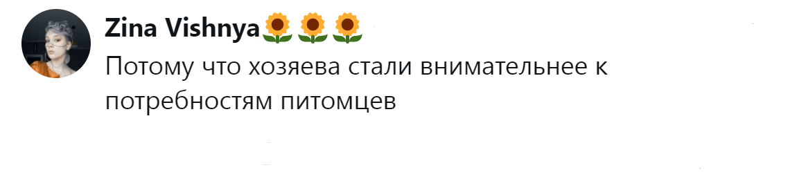 15. Внимание к комфорту, самочувствию и состоянию питомца со стороны хозяев