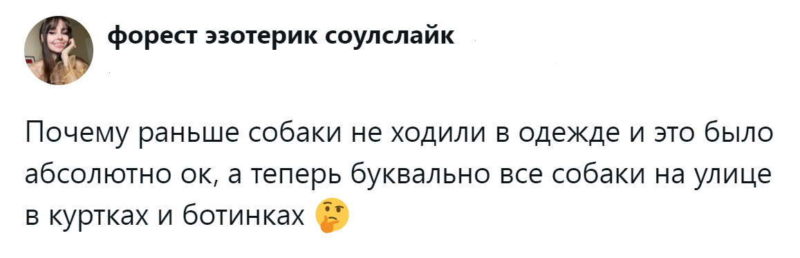 1. Пёсель шагает в пальто, но как-то всё это не то