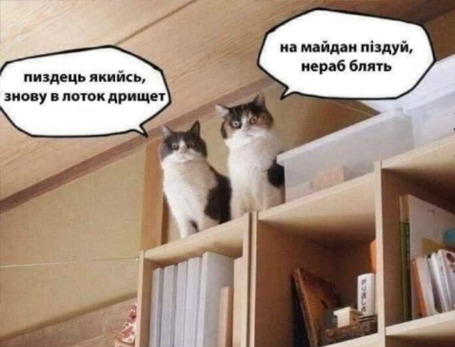 Юбилейный выпуск 2000-й. Новости, события, комментарии за 03.02.2026