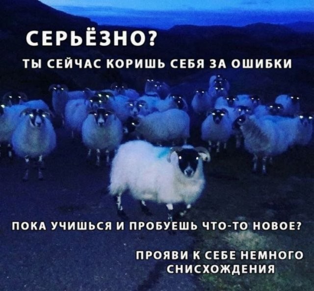 Скрины из соцсетей