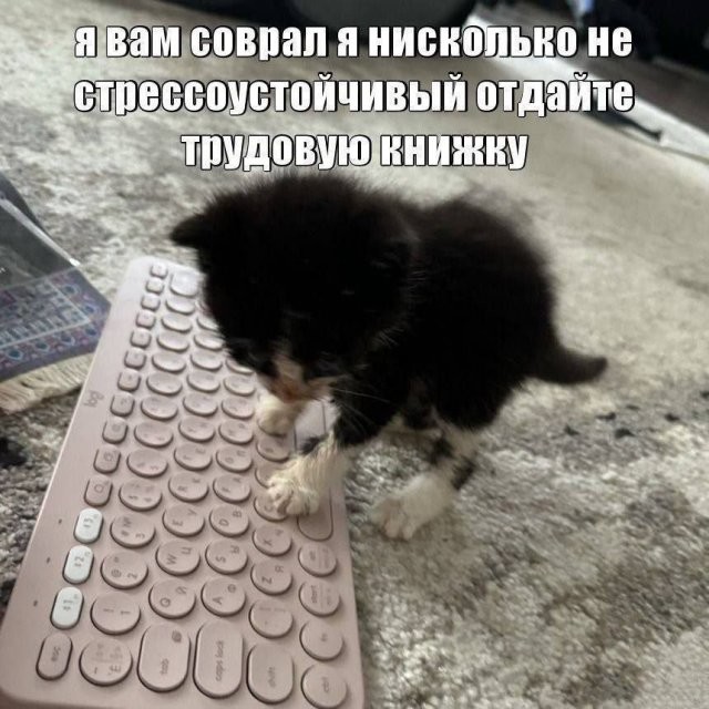 Скрины из соцсетей