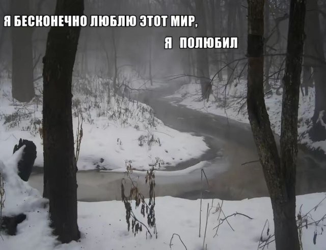 Скрины из соцсетей