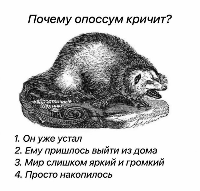 Скрины из соцсетей