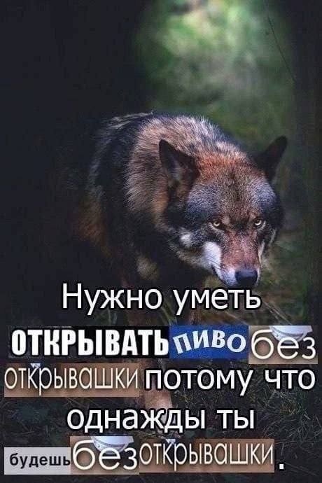Скрины из соцсетей