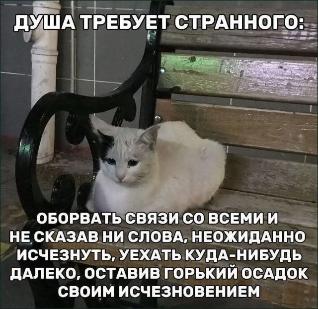 Скрины из соцсетей