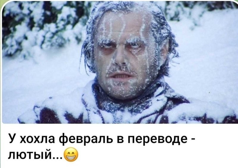 Лишь только о политике