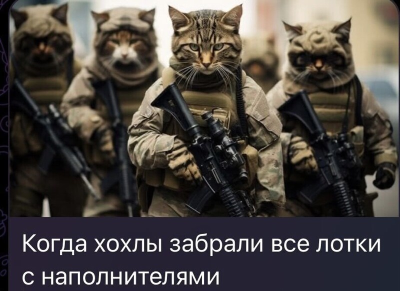 Лишь только о политике