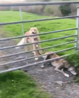 Просто гифки, всякие и&nbsp;разные