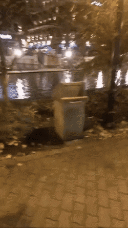 Просто гифки, всякие и&nbsp;разные