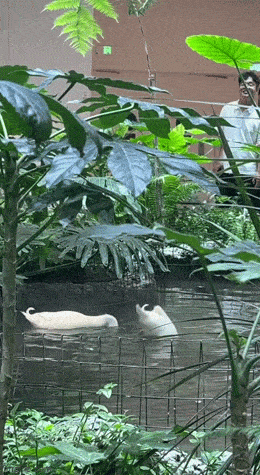 Просто гифки, всякие и&nbsp;разные