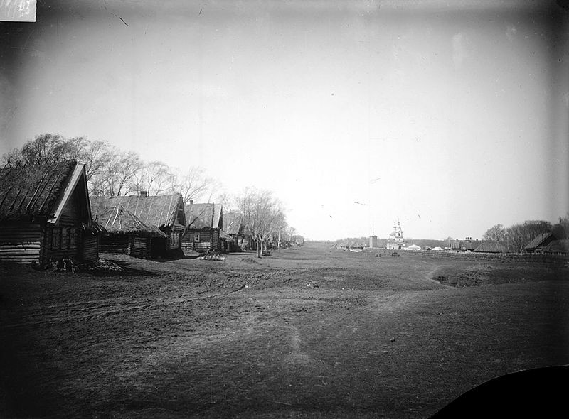 Село Мерлиновка, Нижегородская губерния, Лукояновский уезд, 1891—1892 годы.