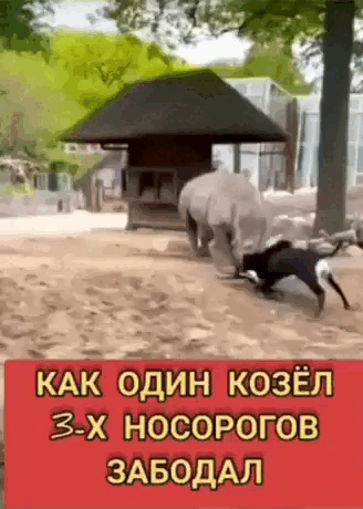 Просто гифки, всякие и&nbsp;разные