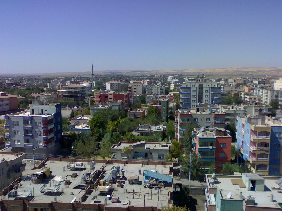 8. Курьёзный иск
