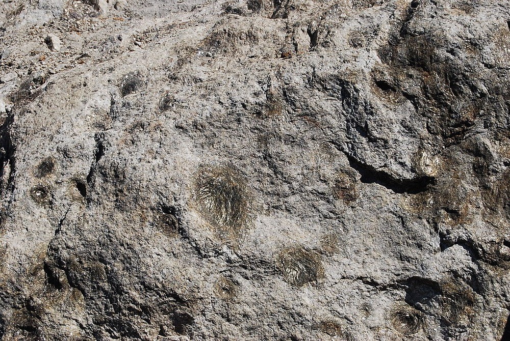 Живые камни Португалии: таинственный гранит, который «рожает» малышей