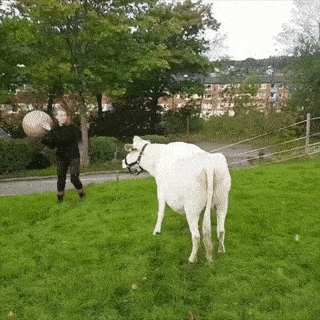 Просто гифки, всякие и&nbsp;разные