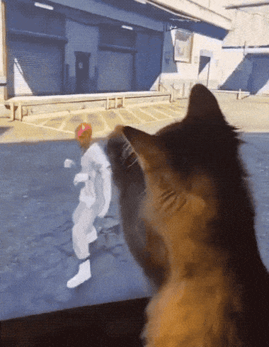 Просто гифки, всякие и&nbsp;разные