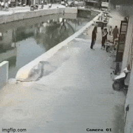 Просто гифки, всякие и&nbsp;разные