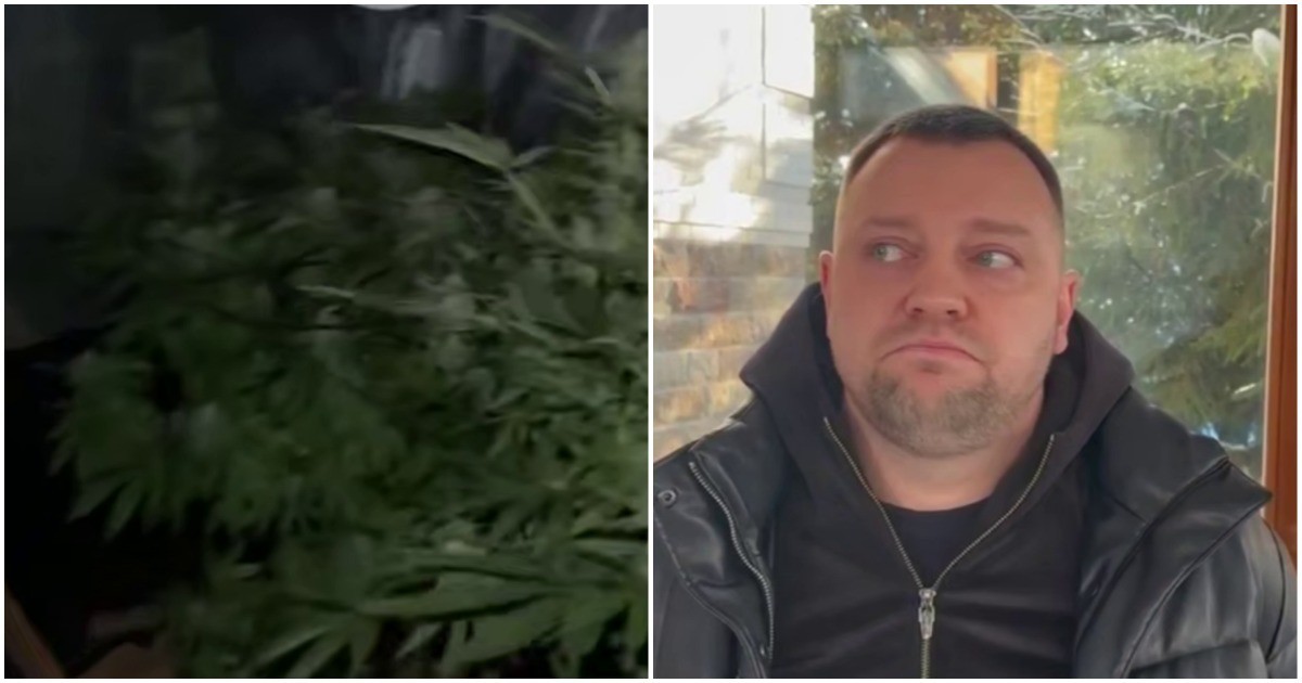 Наркоплантатор заявил полицейским, что на самом деле сажал помидоры