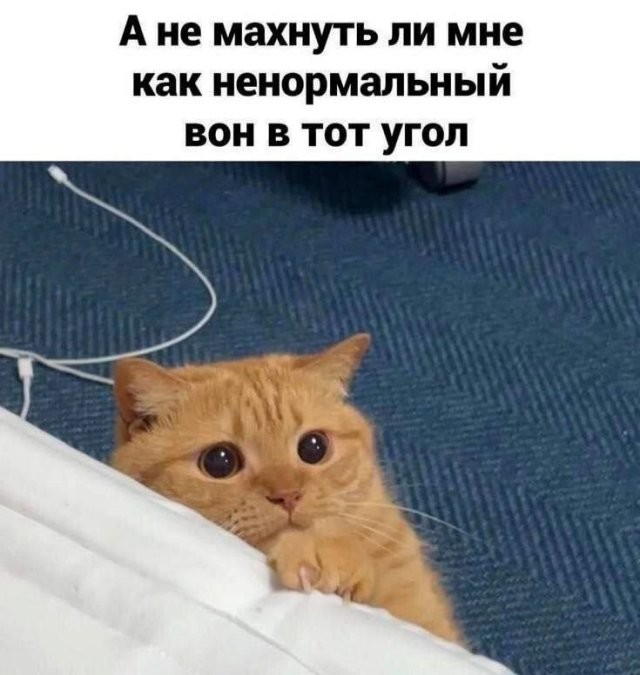 Скрины из соцсетей