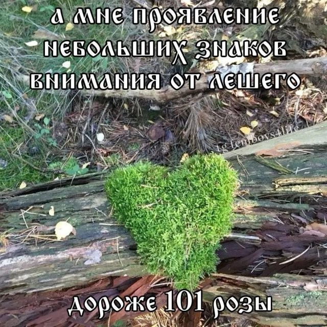 Скрины из соцсетей