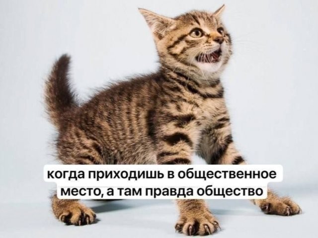 Скрины из соцсетей