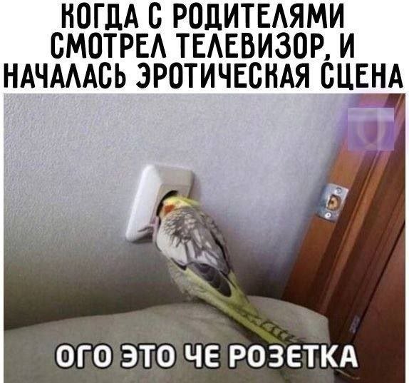 Скрины из соцсетей