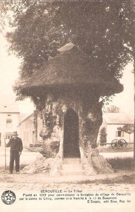 600-летний дом-вяз, который побывал липой и принял участие в выставках