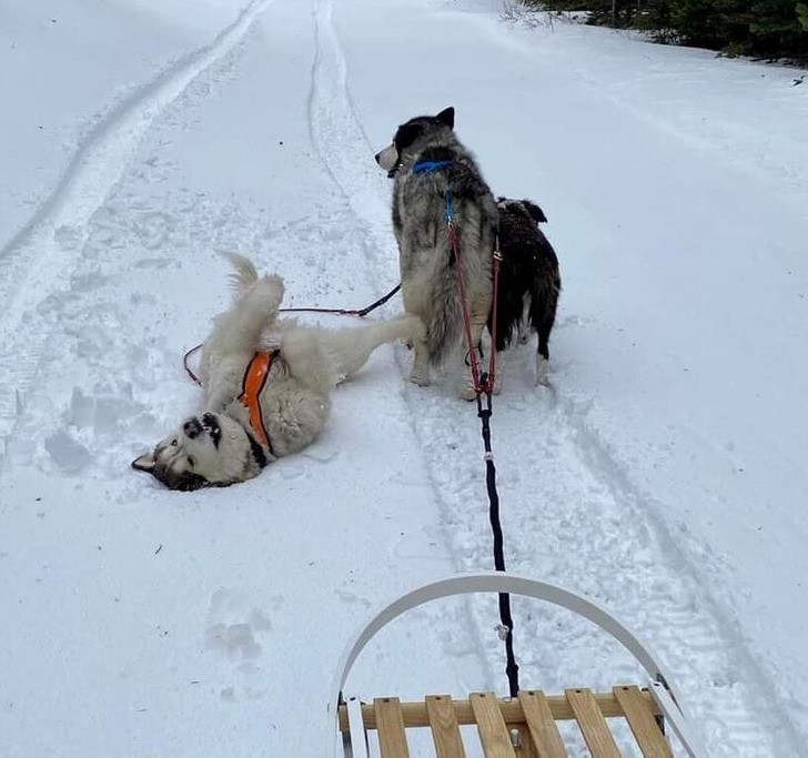 1. Командная работа